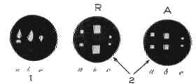 Diagrams of the Images of Purkinje