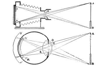 The Eye As a Camera