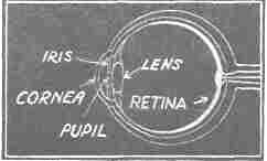 Simplified diagram, corresponding to the figure on page 8